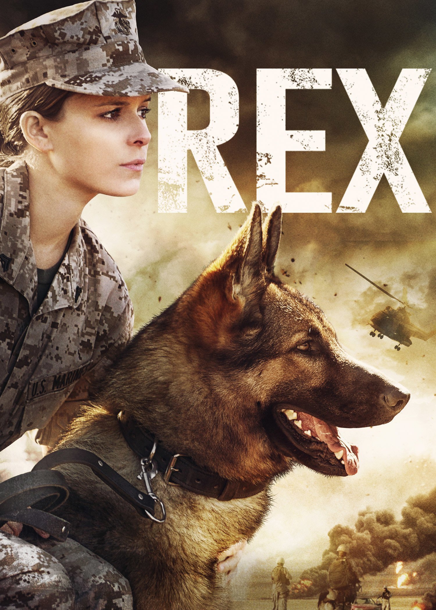 Megan Leavey Movie on X: This #K9VeteransDay, we're honored to celebrate Sergeant  Rex. Learn more about Rex's story in #MeganLeavey    / X