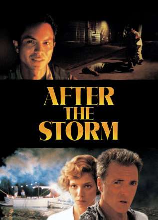 Tras la tormenta - movies